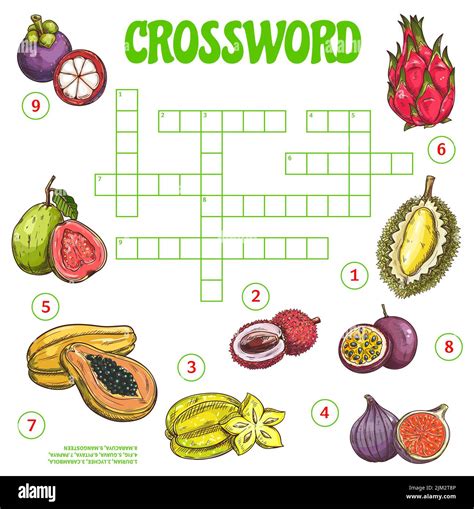 tropical fruit crossword clue|strong smelling tropical fruit crossword.